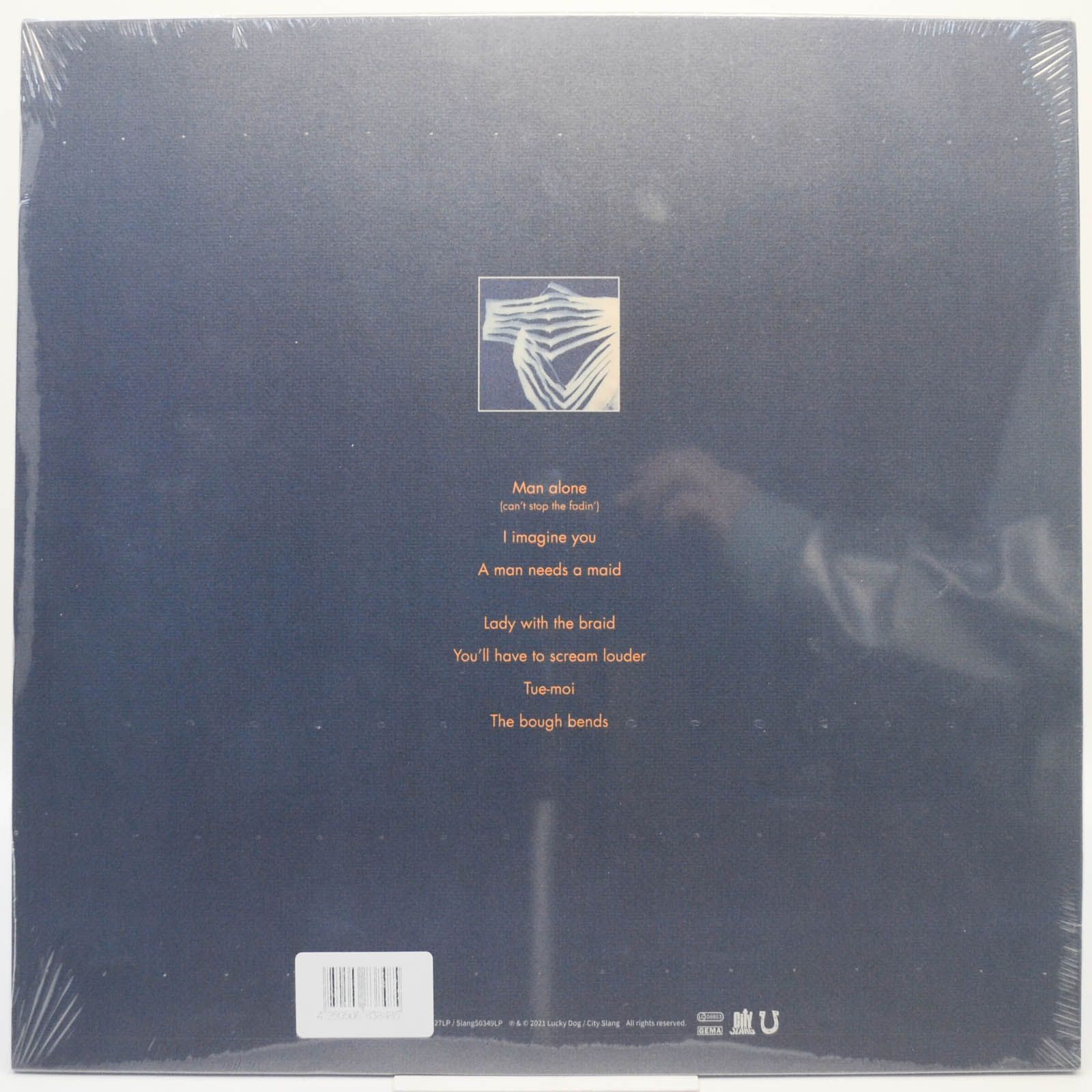 Виниловая пластинка Tindersticks — Distractions, 2021
