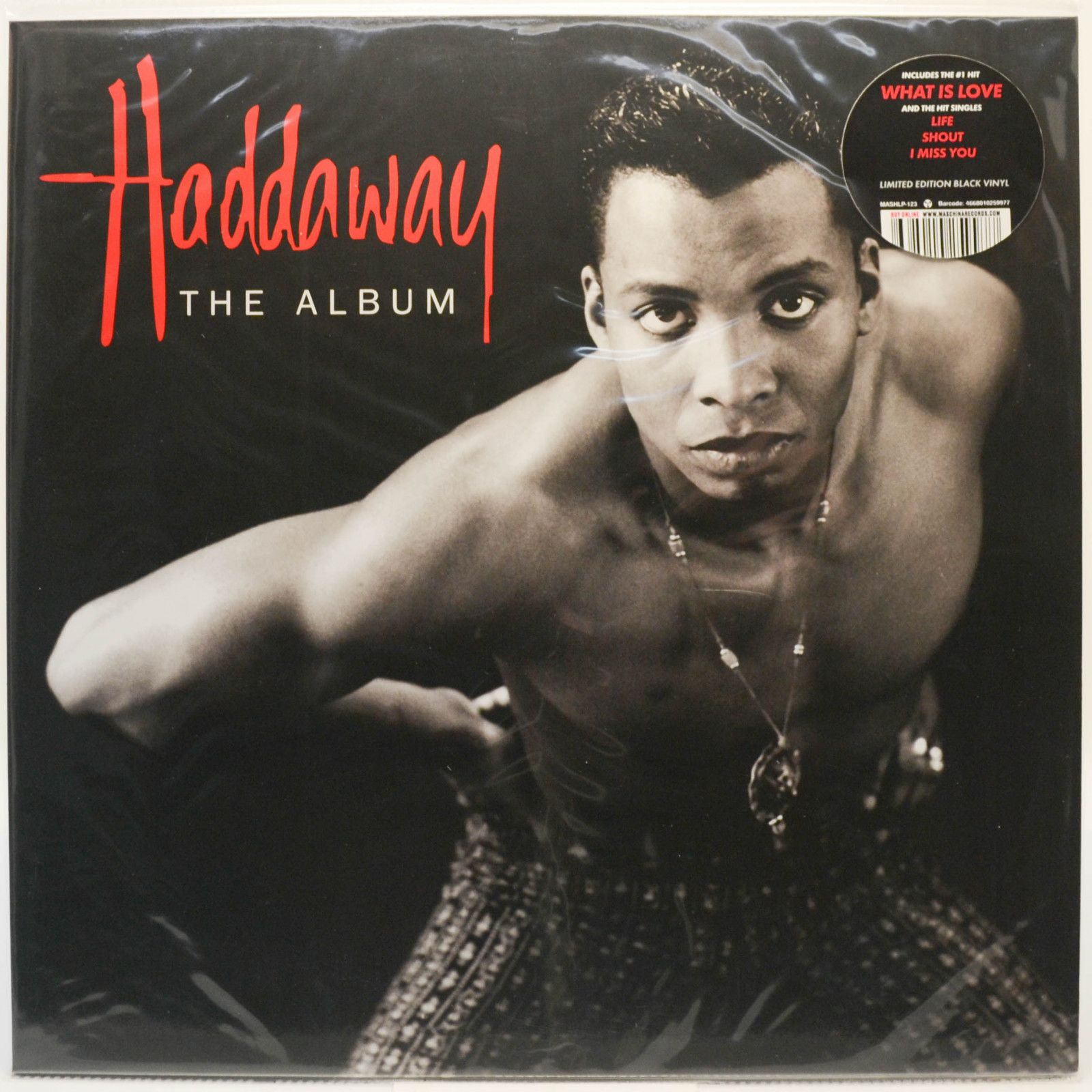 Виниловая пластинка Haddaway — The Album, 1993