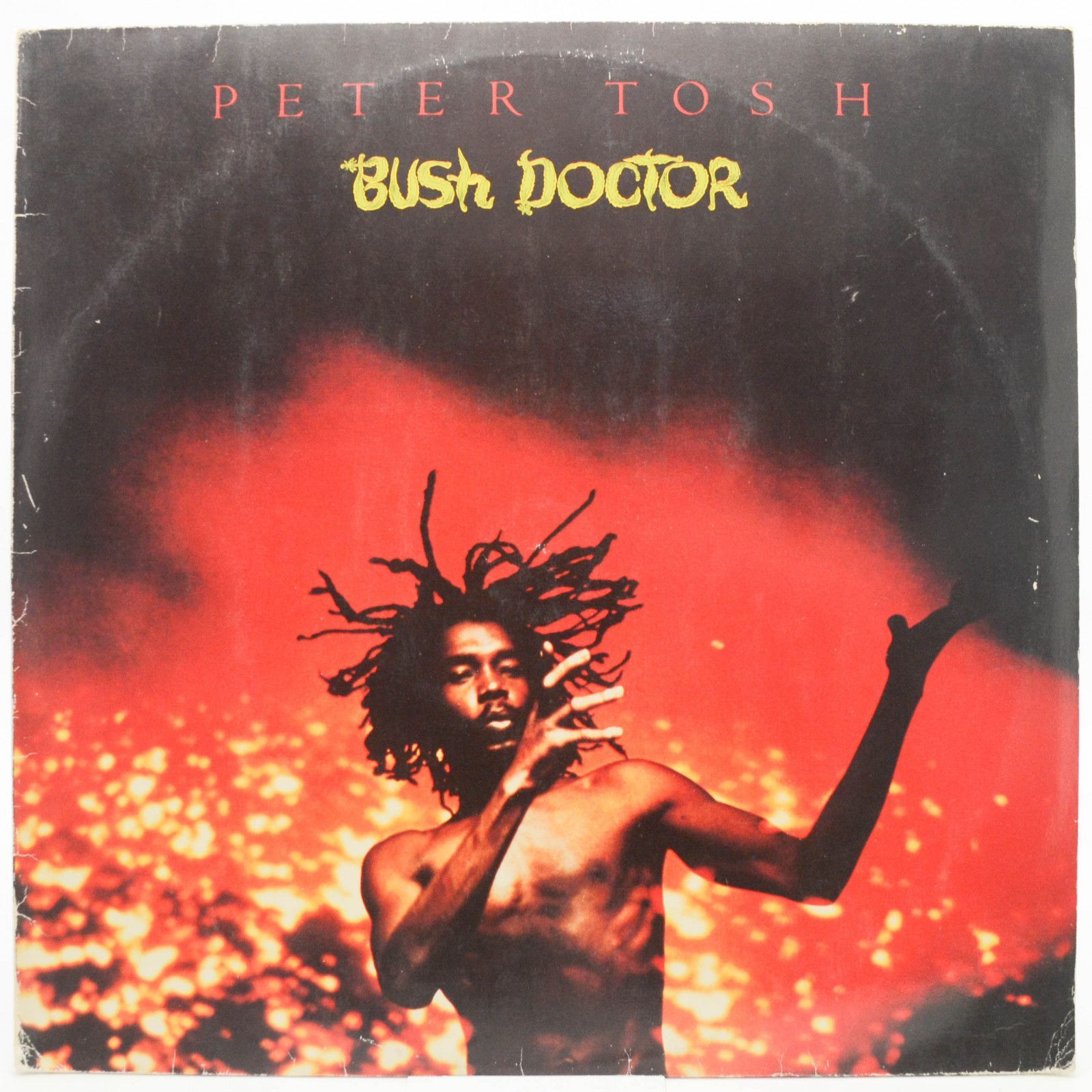 Виниловая пластинка Peter Tosh — Bush Doctor, 1978