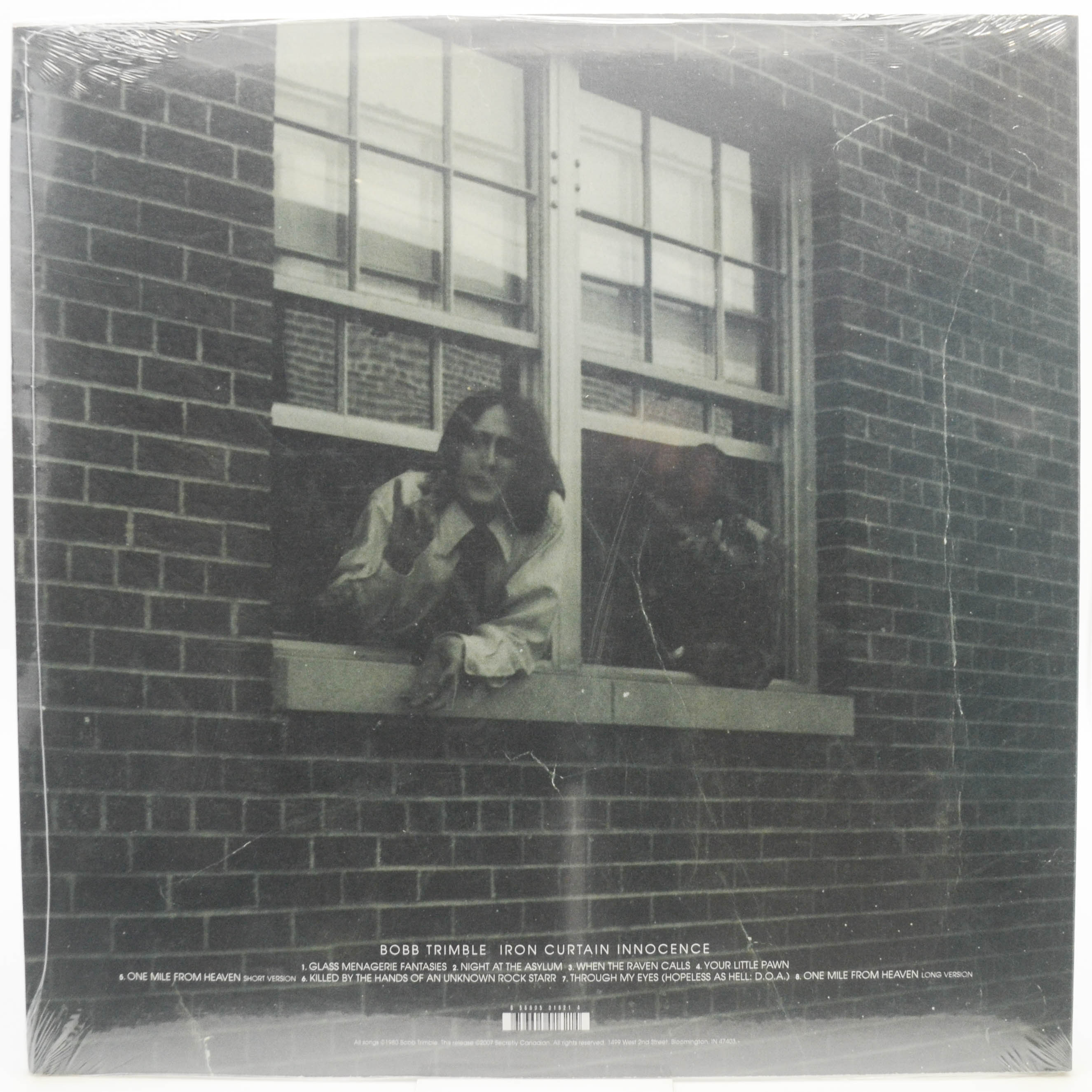 Виниловая пластинка Bobb Trimble — Iron Curtain Innocence (USA), 1980