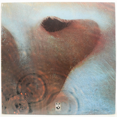 Виниловая пластинка Meddle, 1971