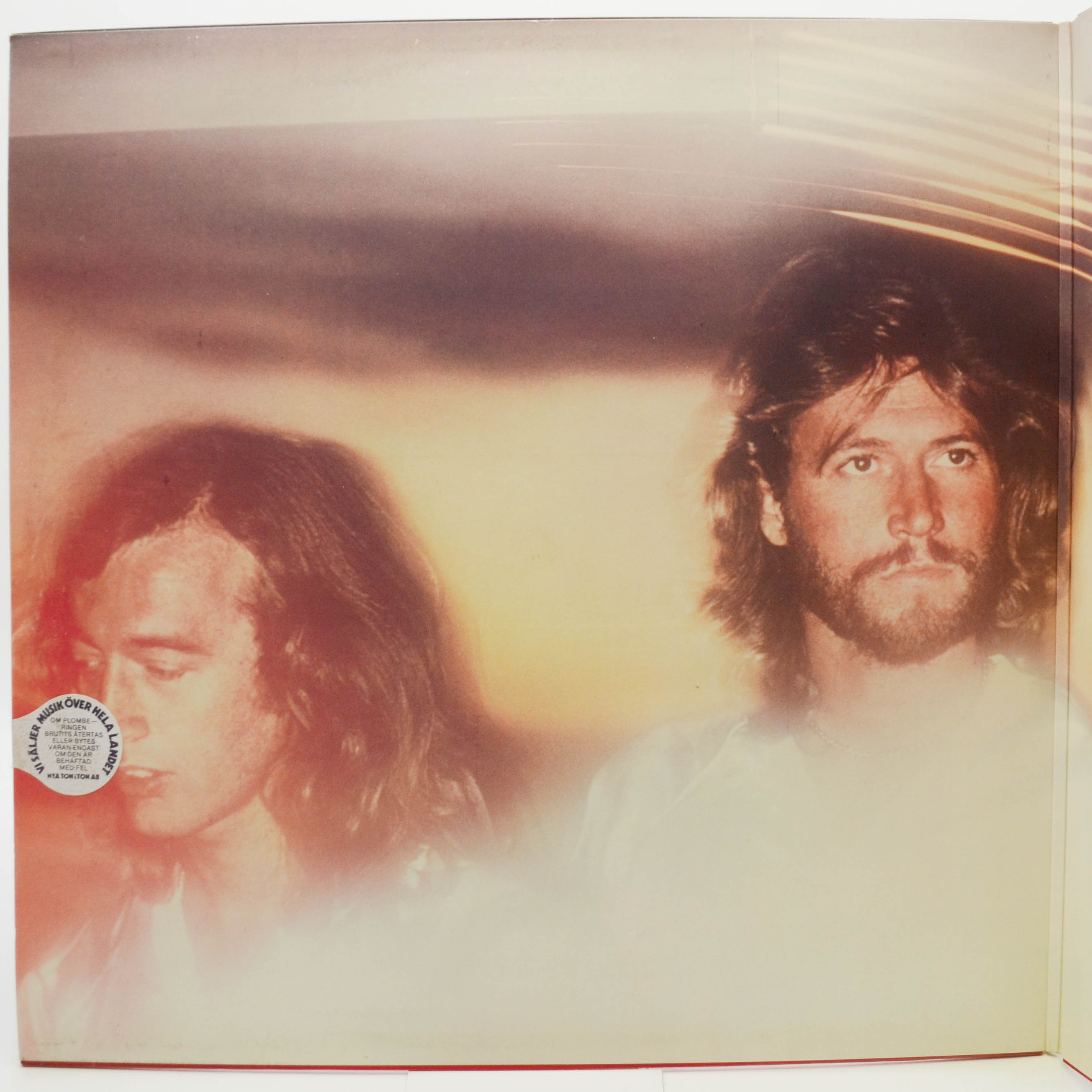 Виниловая пластинка Bee Gees — Spirits Having Flown, 1979