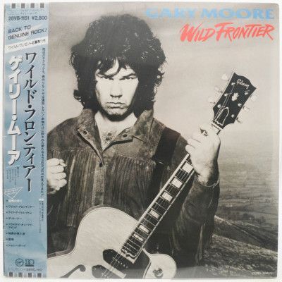 Виниловая пластинка Wild Frontier, 1987