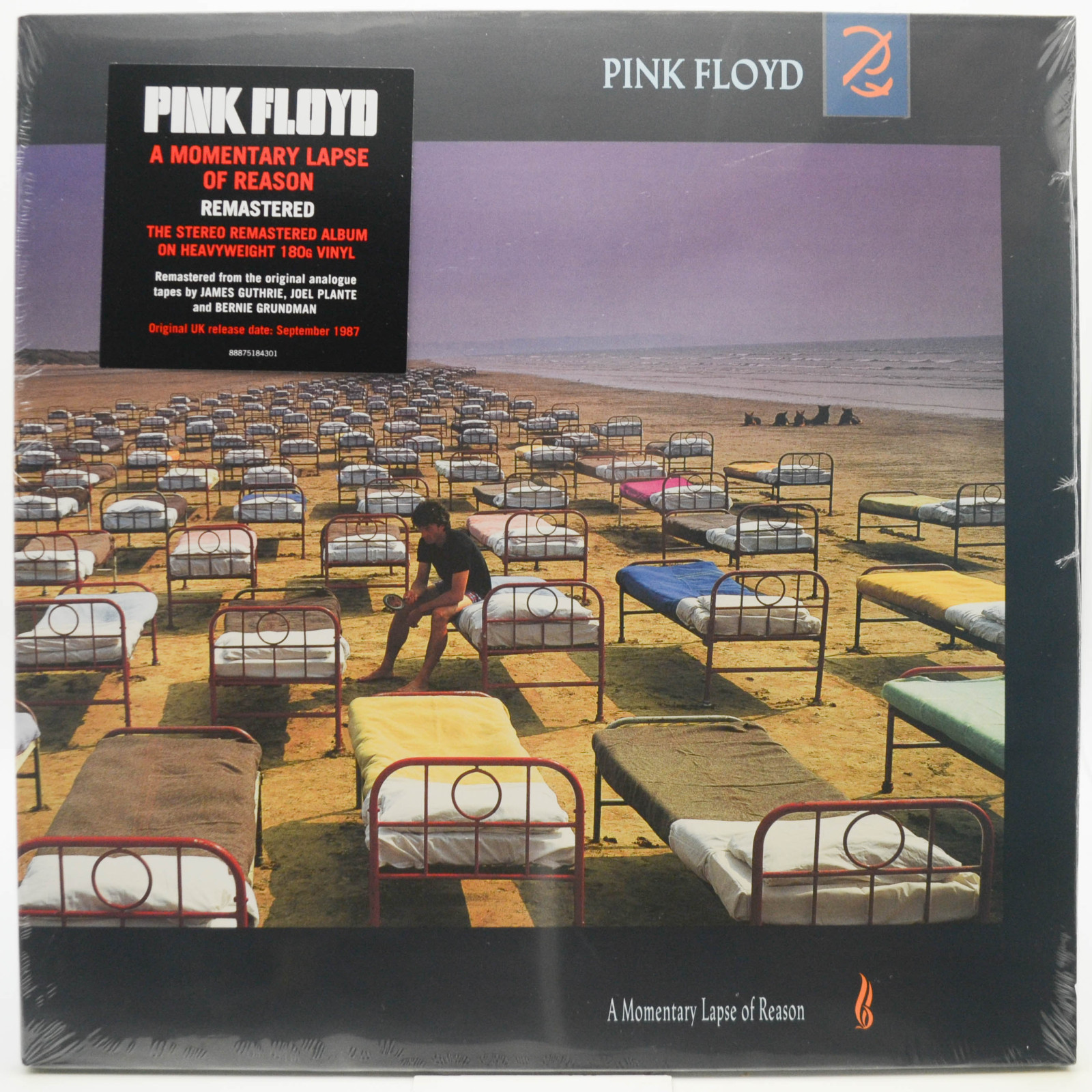 Виниловая пластинка Pink Floyd — A Momentary Lapse Of Reason, 1987