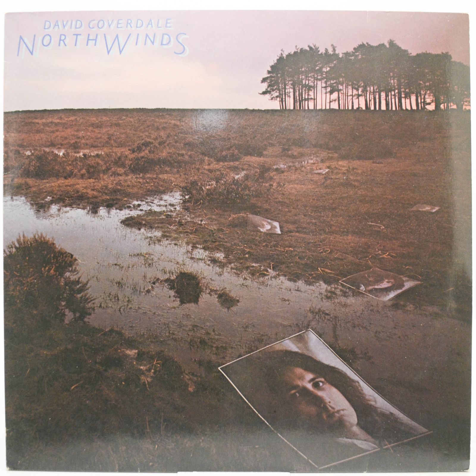 Виниловая пластинка David Coverdale — Northwinds, 1978