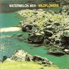 Wildflowers