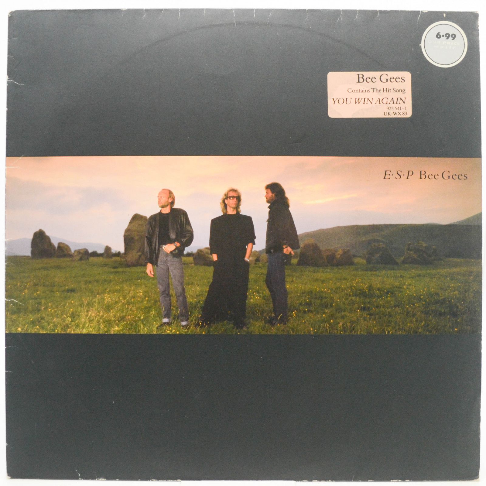 Bee Gees — E·S·P, 1987