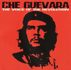 Voice Of Revolution