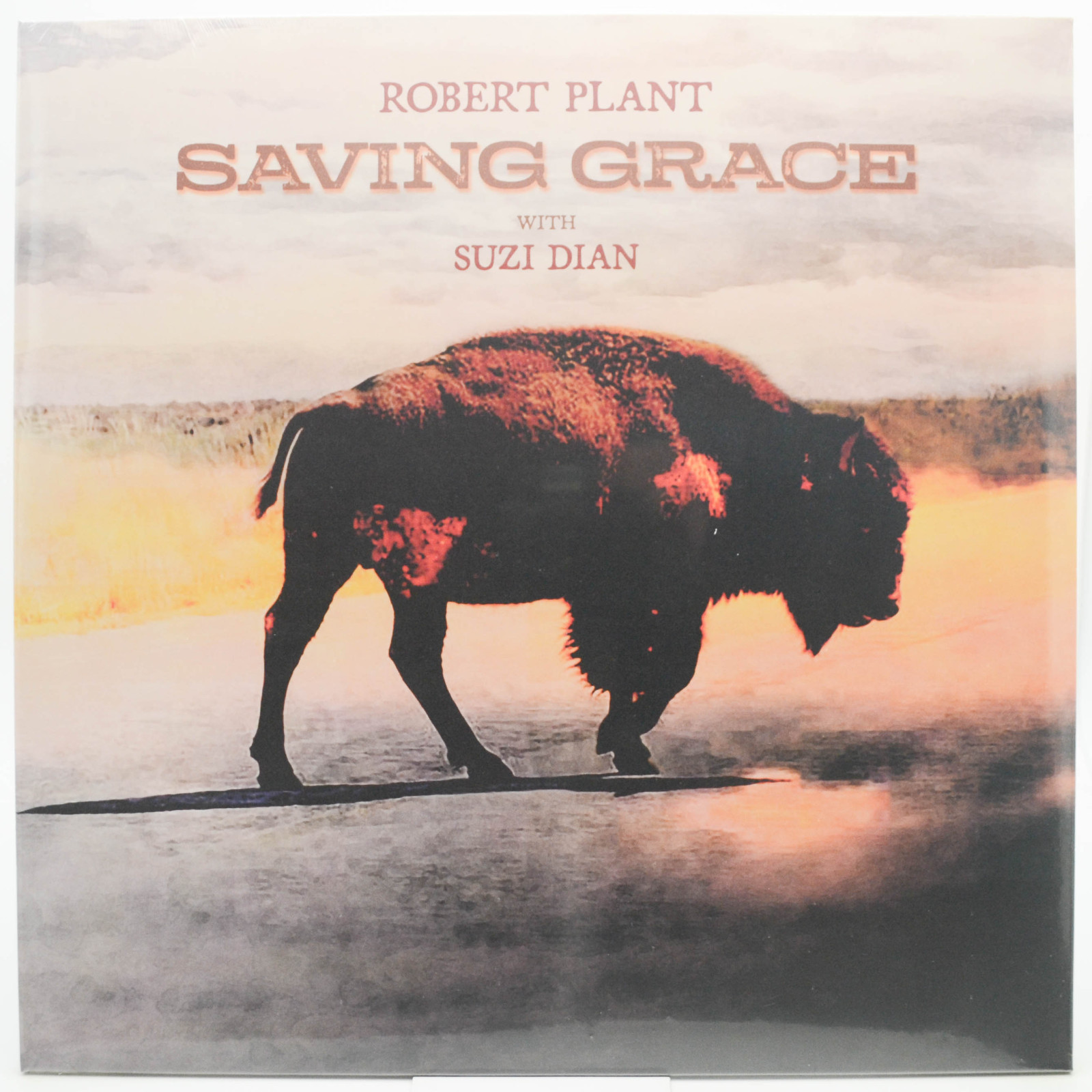 Виниловая пластинка Robert Plant With Suzi Dian — Saving Grace, 2025