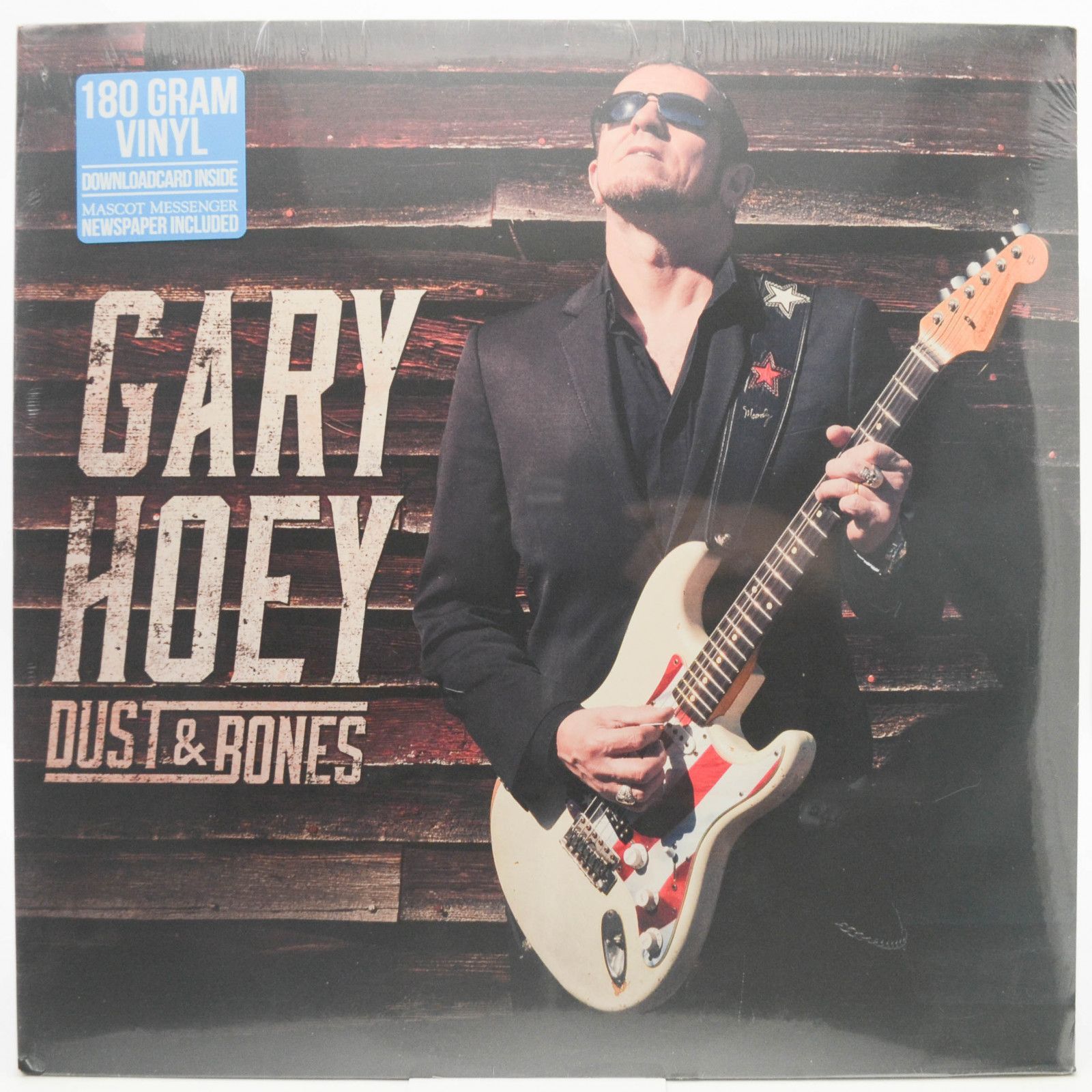 Виниловая пластинка Gary Hoey — Dust & Bones, 2016