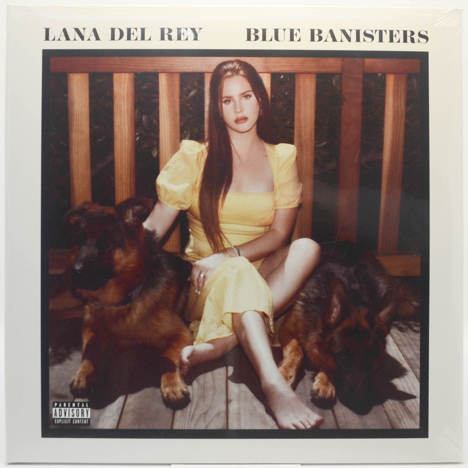 Виниловая пластинка Lana Del Rey — Blue Banisters (2LP), 2021