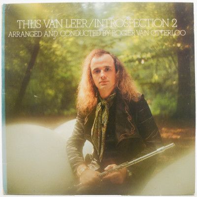 Виниловая пластинка Introspection 2, 1975