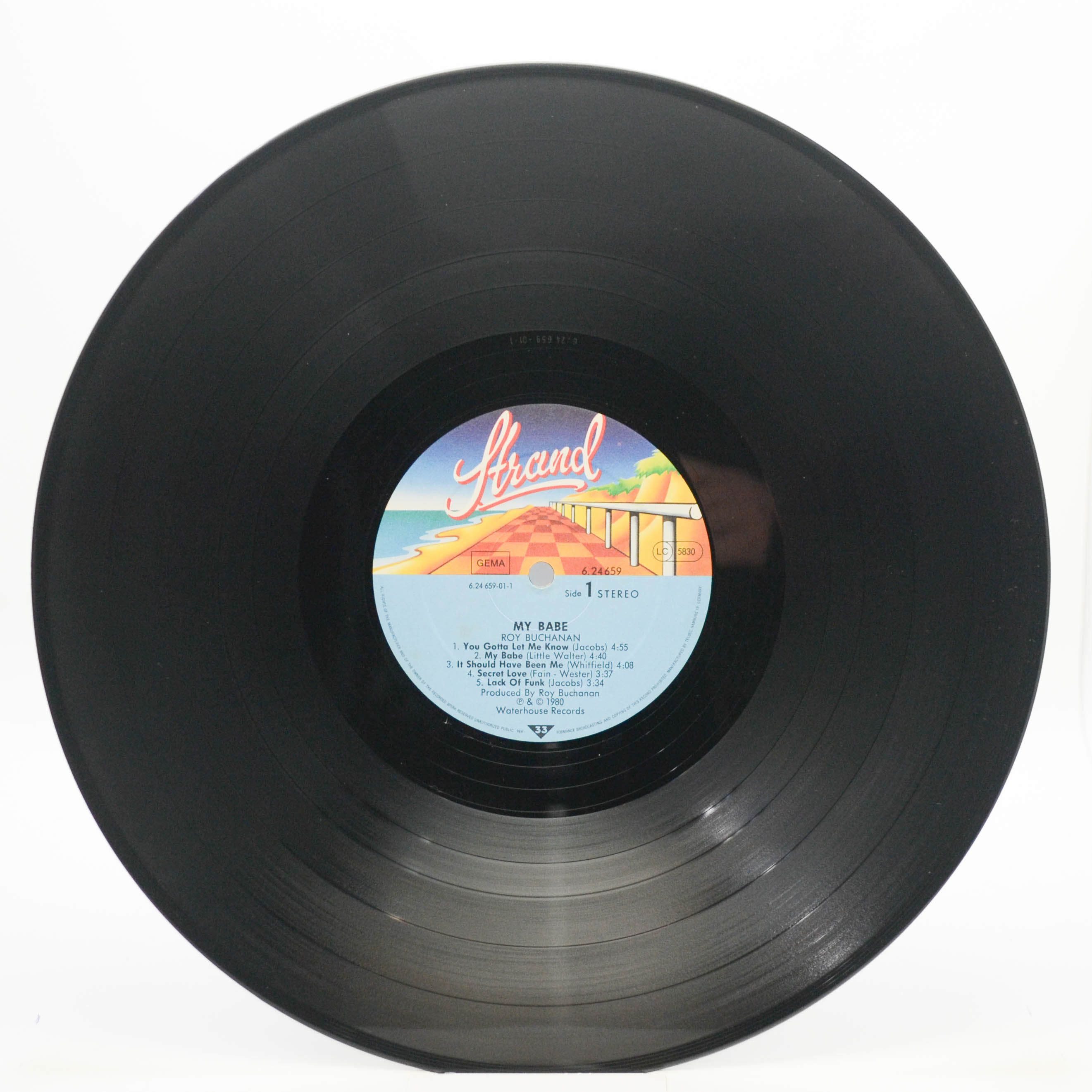 Roy Buchanan — My Babe, 1980