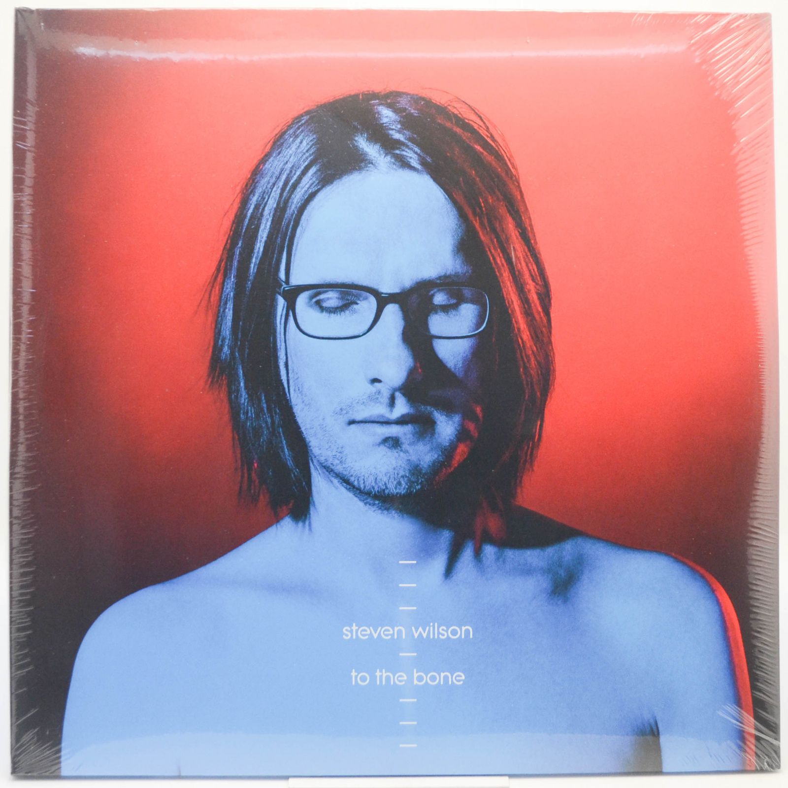 Виниловая пластинка Steven Wilson — To The Bone (2LP), 2017