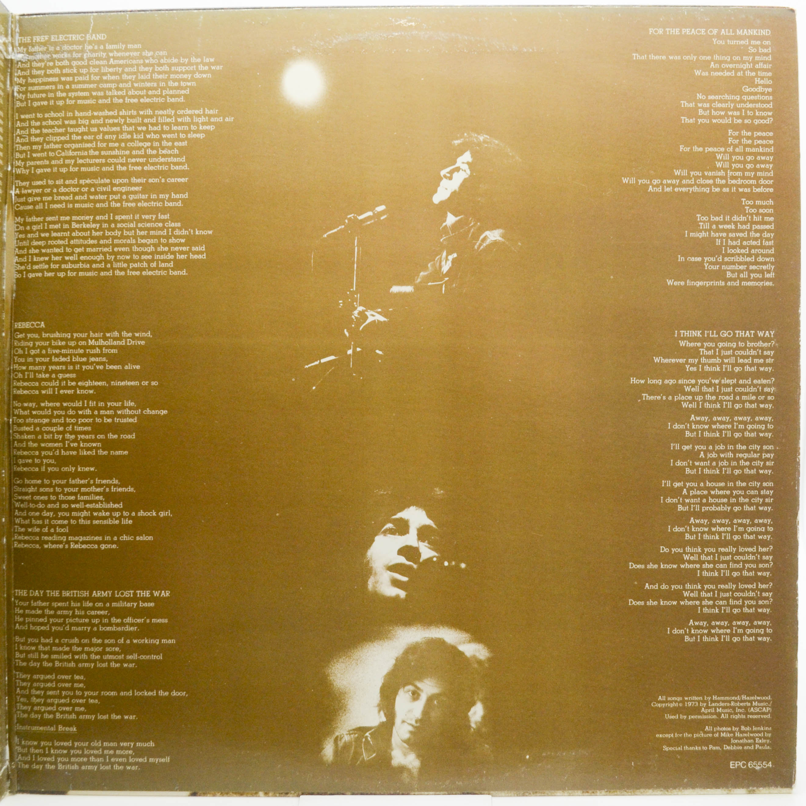 Виниловая пластинка Albert Hammond — The Free Electric Band, 1973