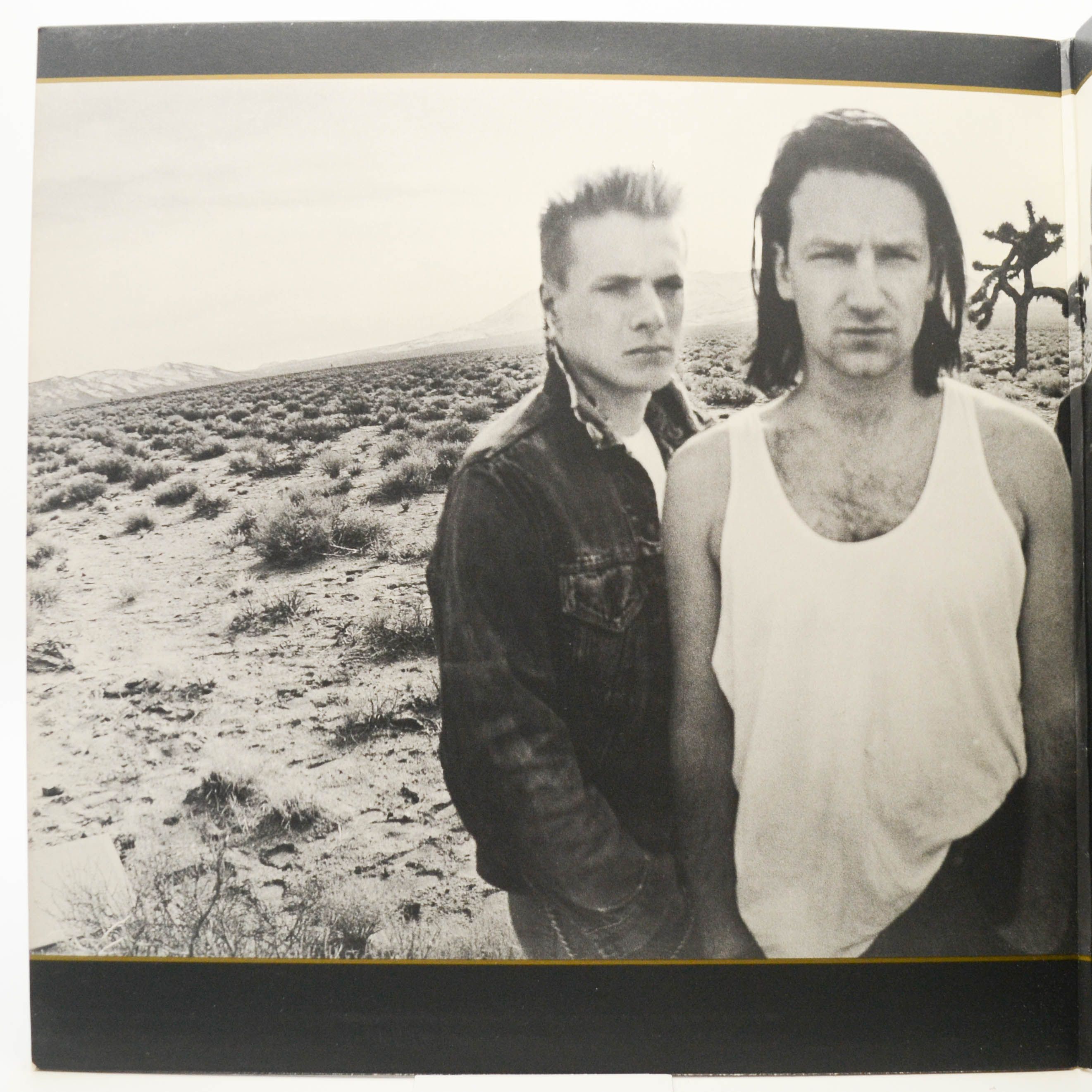 U2 — The Joshua Tree (USA), 1987