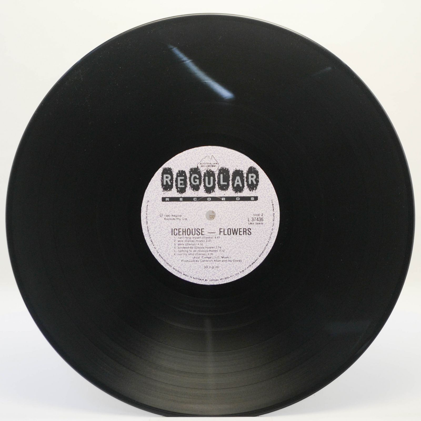 Flowers — Icehouse, 1980