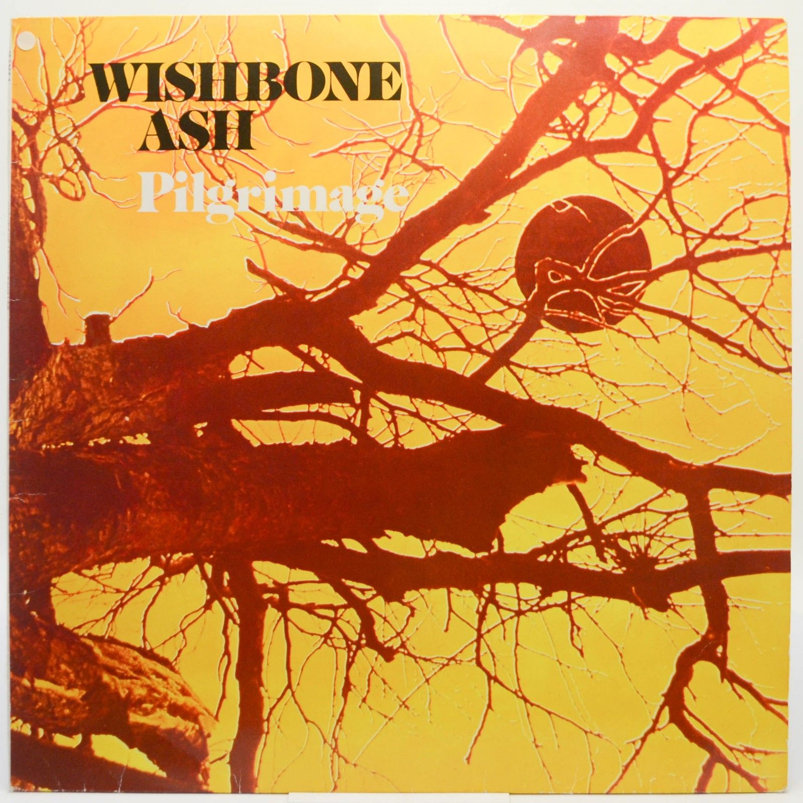 Виниловая пластинка Wishbone Ash — Pilgrimage, 1971