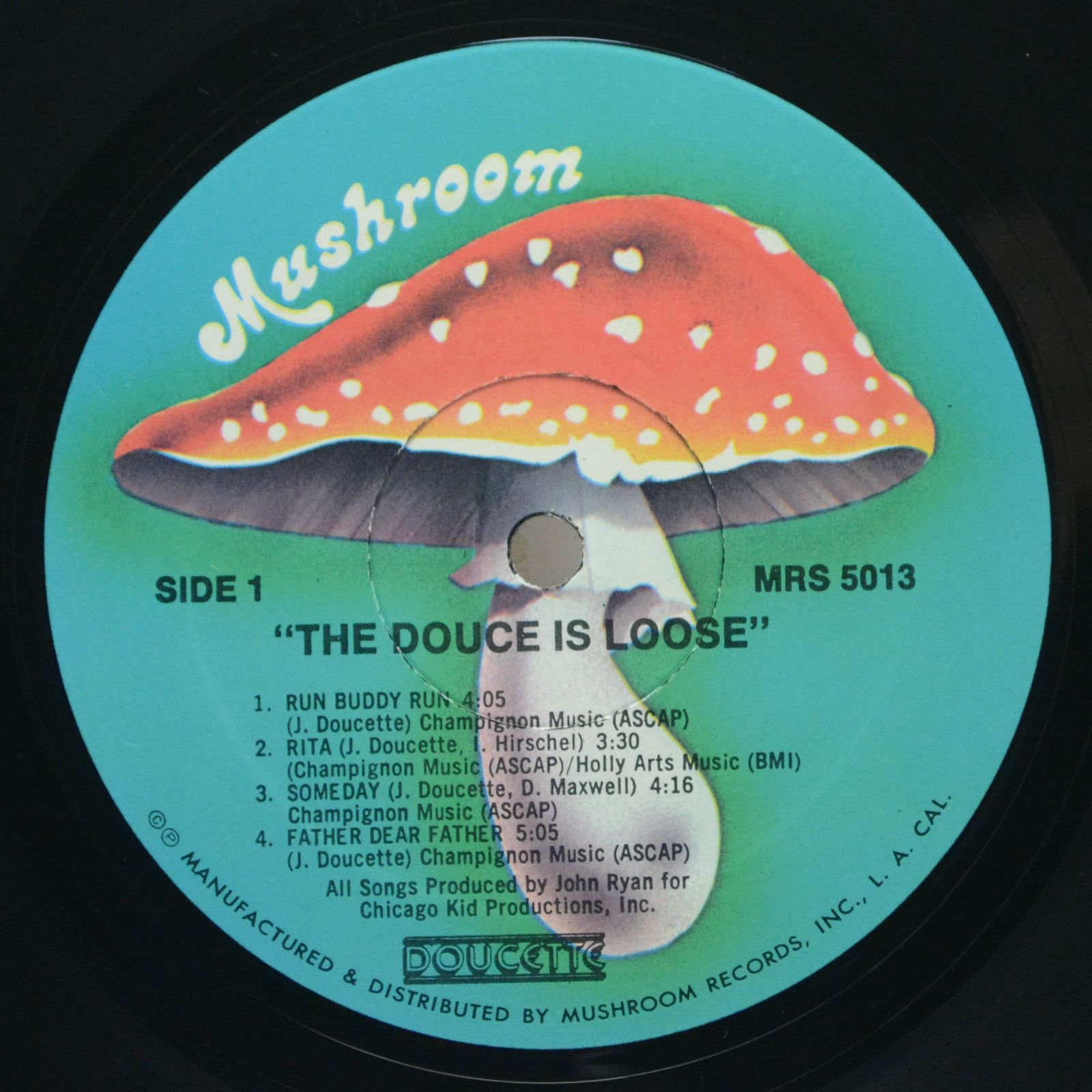 Виниловая пластинка Doucette — The Douce Is Loose, 1979