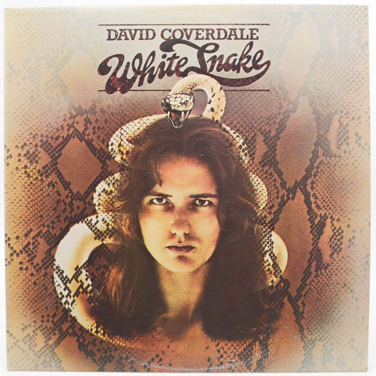 Виниловая пластинка David Coverdale — White Snake, 1977