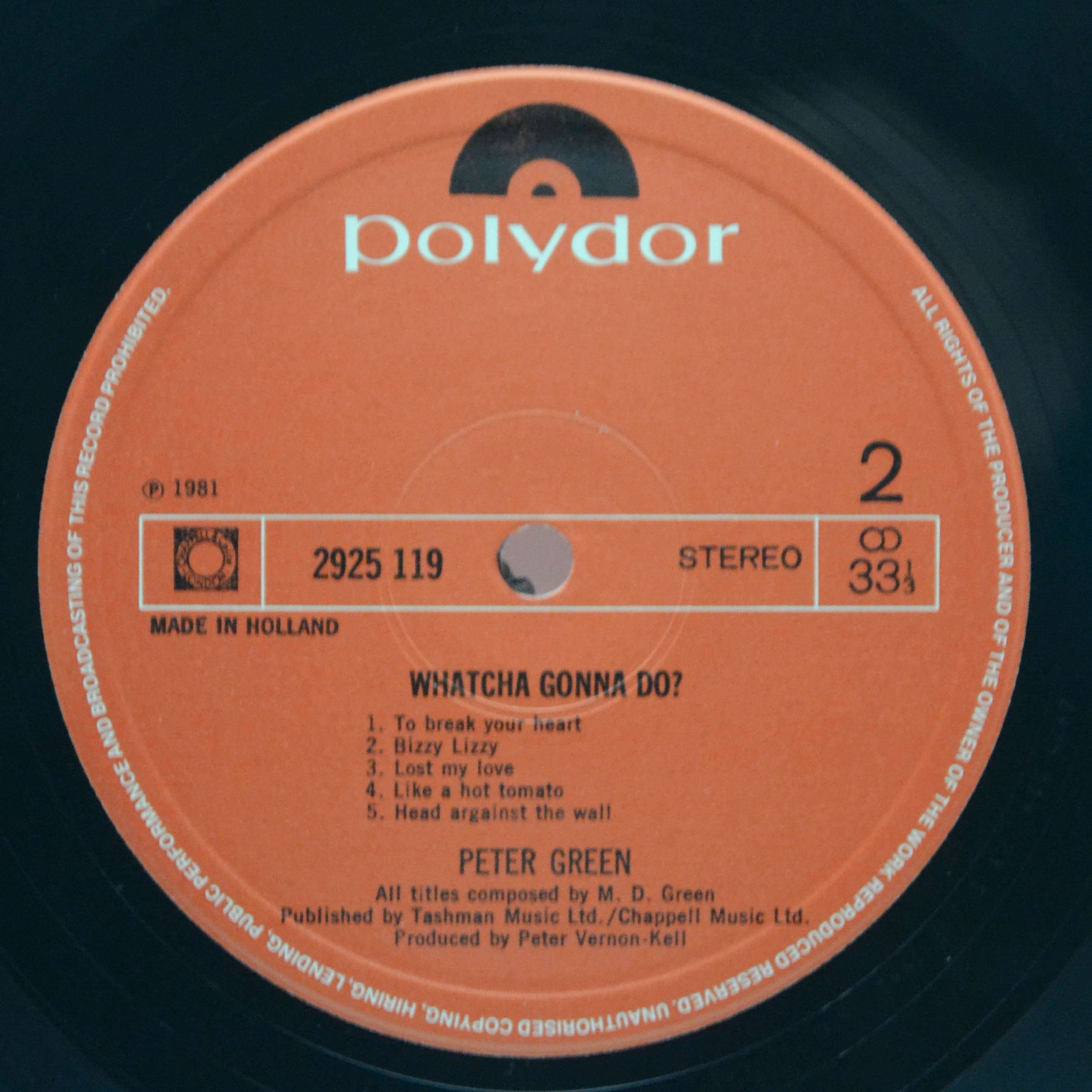 Peter Green — Whatcha Gonna Do?, 1981