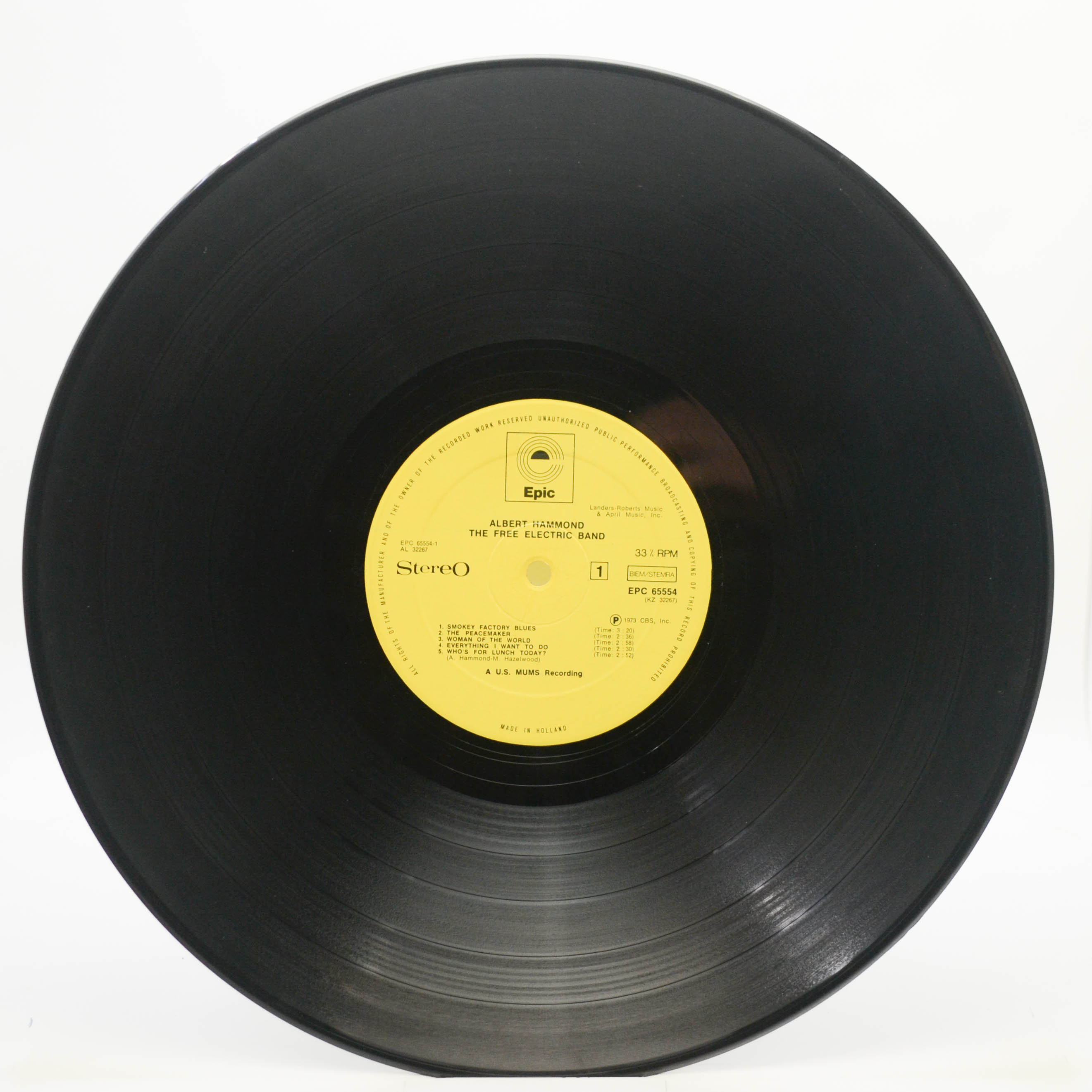 Виниловая пластинка Albert Hammond — The Free Electric Band, 1973