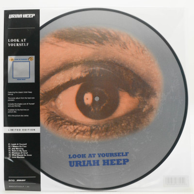 Виниловая пластинка Look At Yourself, 1971