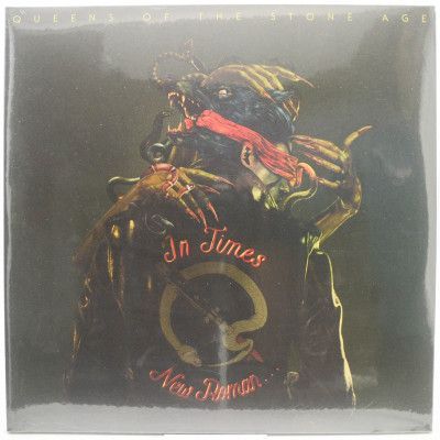 Виниловая пластинка In Times New Roman... (2LP), 2023