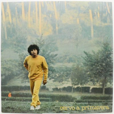 Виниловая пластинка Cervo A Primavera (1-st, Italy), 1980