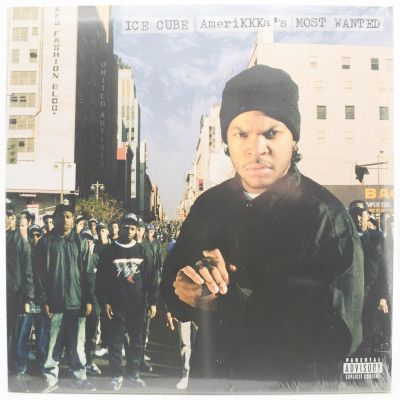 Виниловая пластинка AmeriKKKa's Most Wanted, 1990