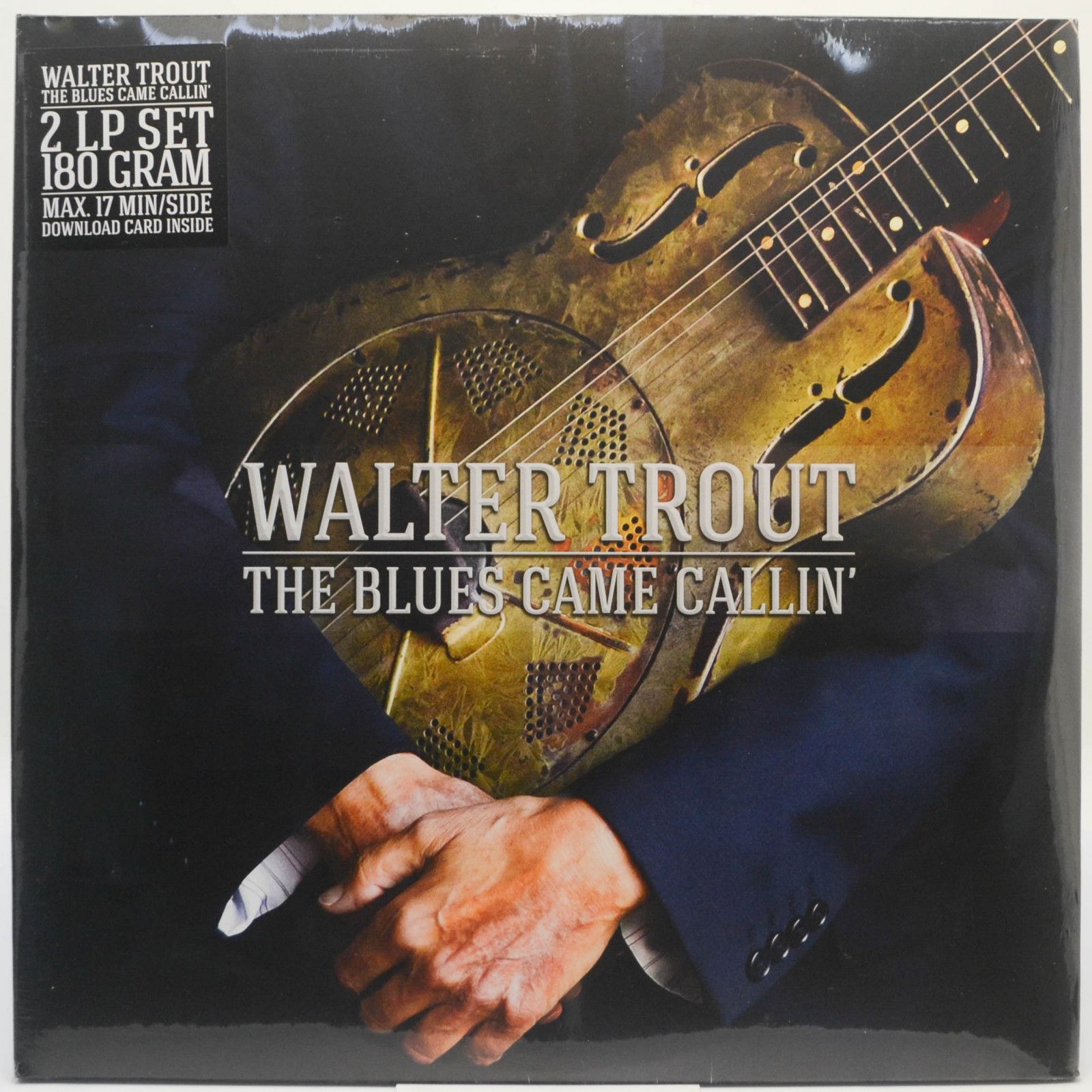 Виниловая пластинка Walter Trout — The Blues Came Callin' (2LP), 2014
