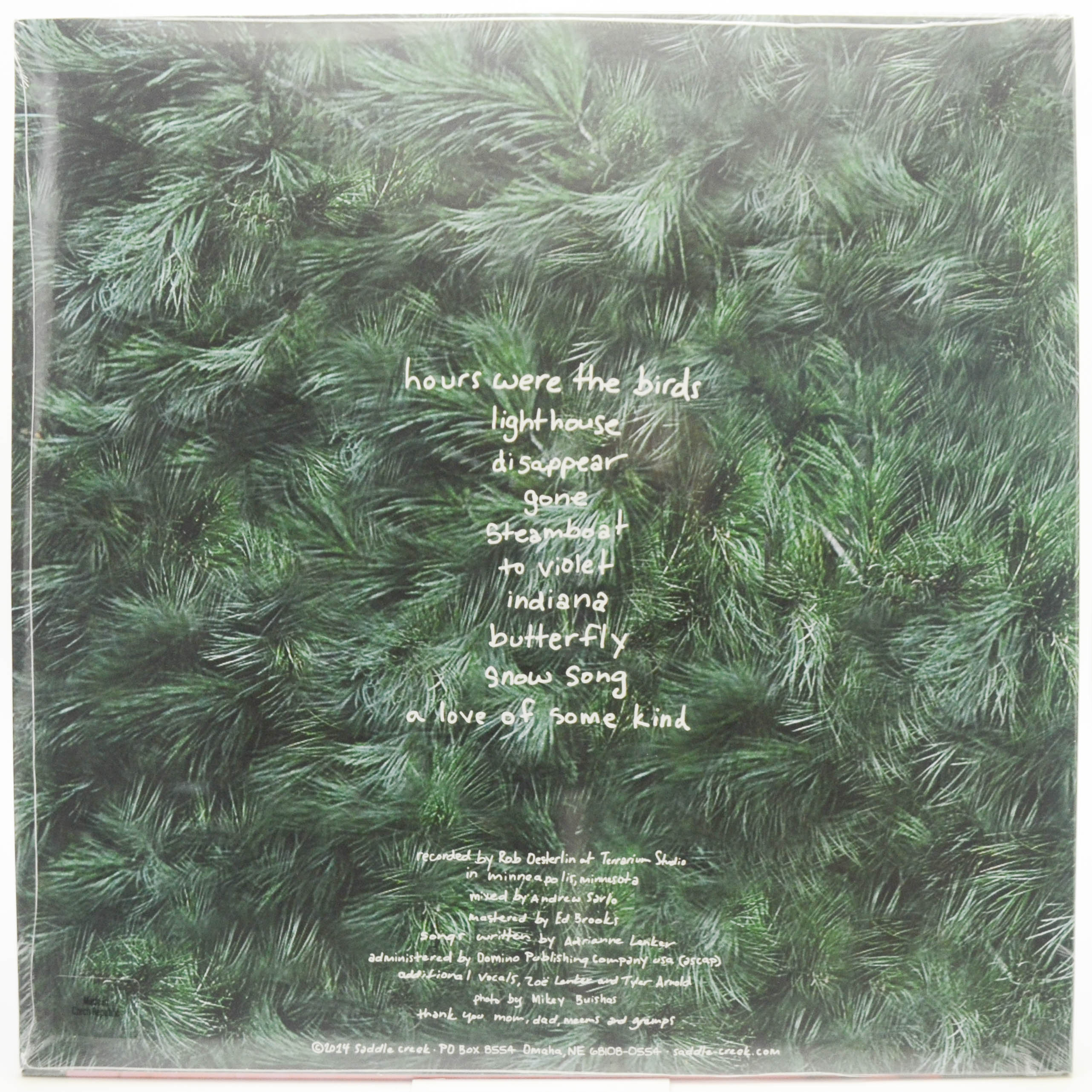 Виниловая пластинка Adrianne Lenker — Hours Were The Birds, 2014