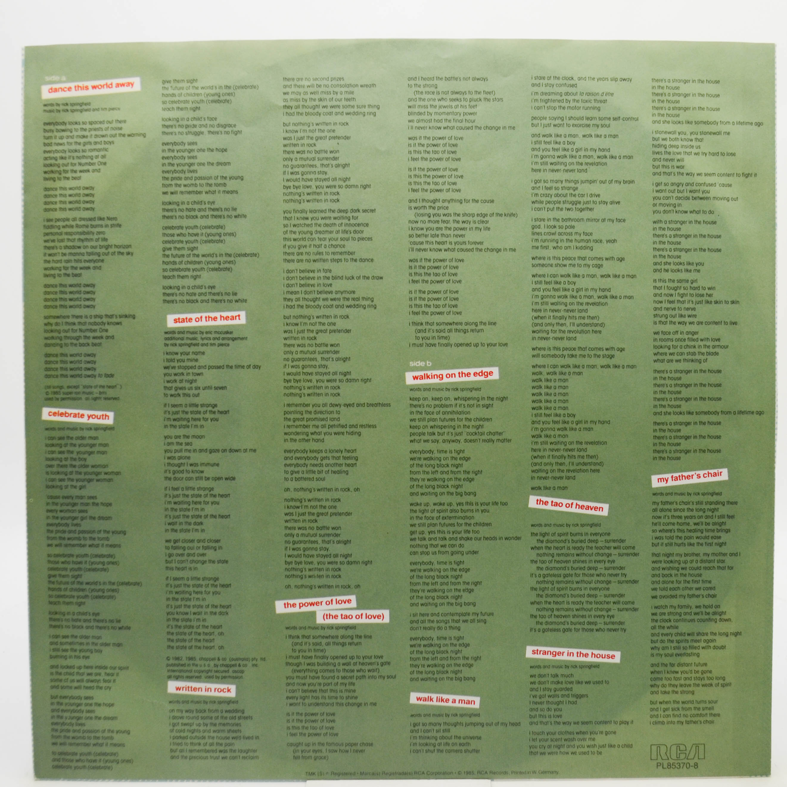 Rick Springfield — Tao, 1985