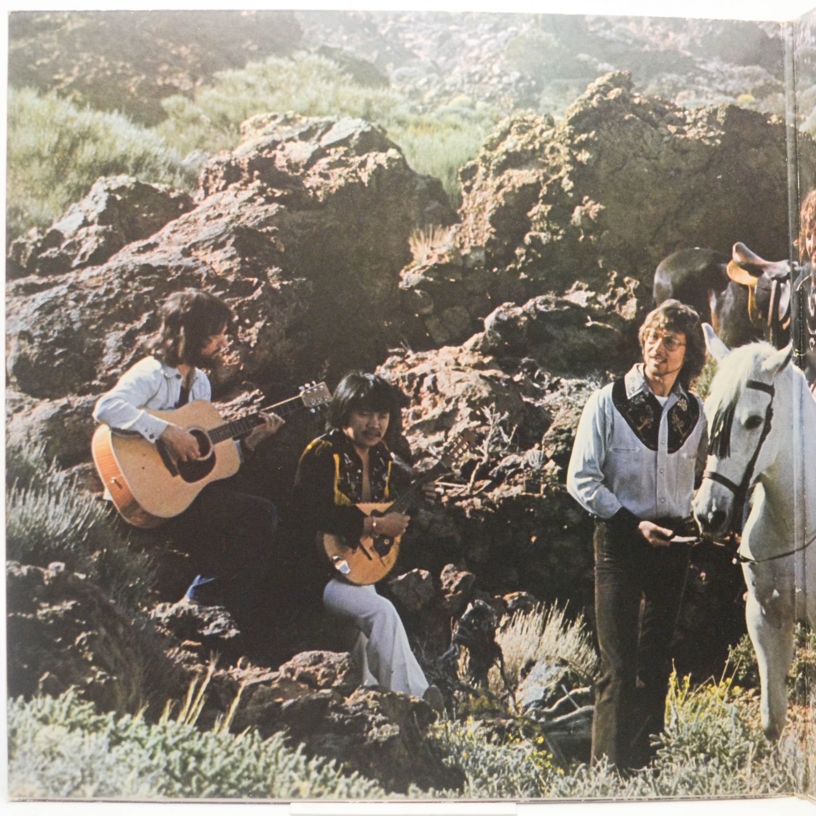 Виниловая пластинка George Baker Selection — Summer Melody, 1977