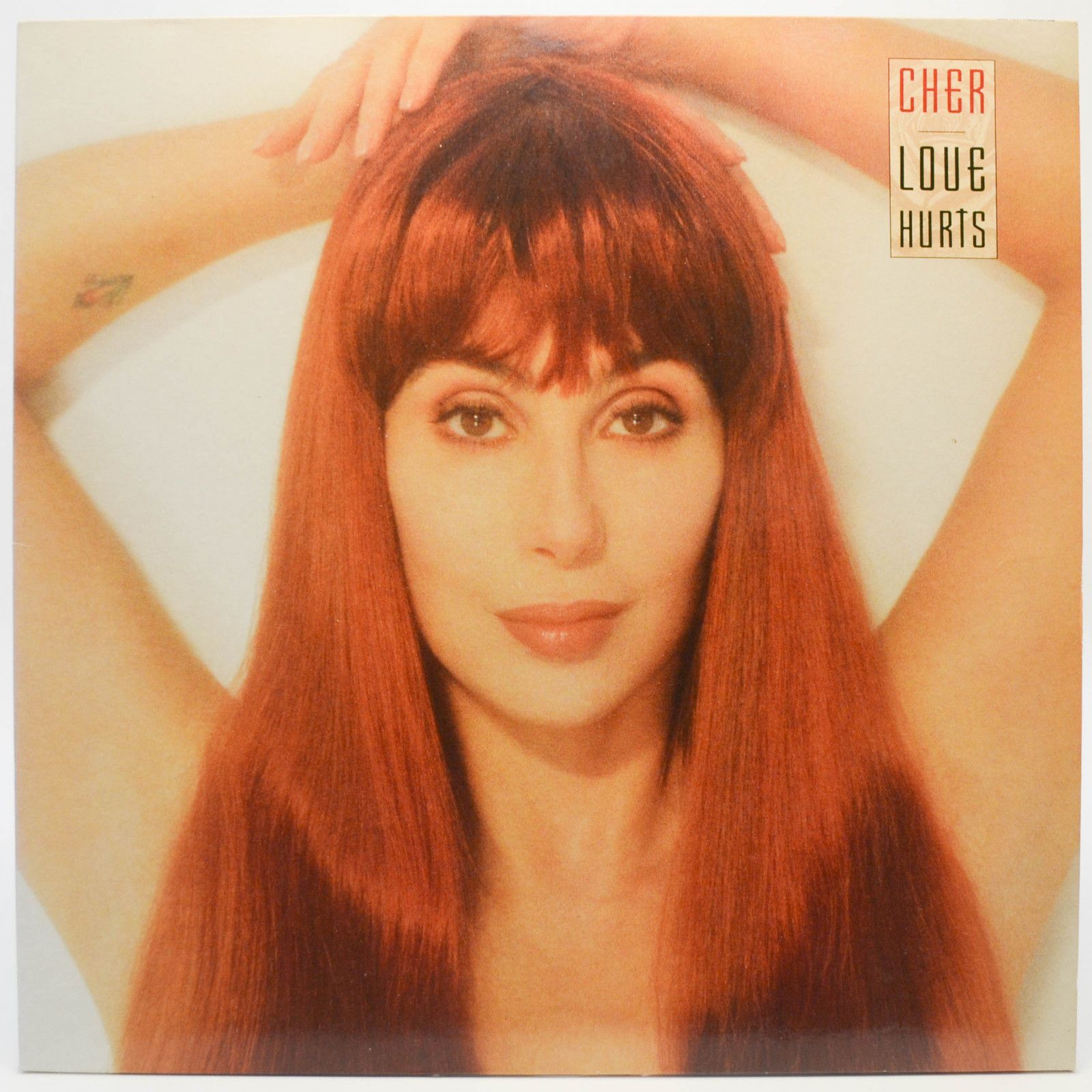 Cher — Love Hurts, 1991