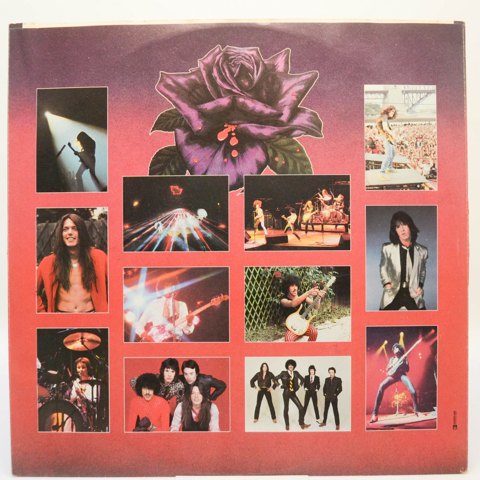 Виниловая пластинка Thin Lizzy — Black Rose (A Rock Legend), 1979