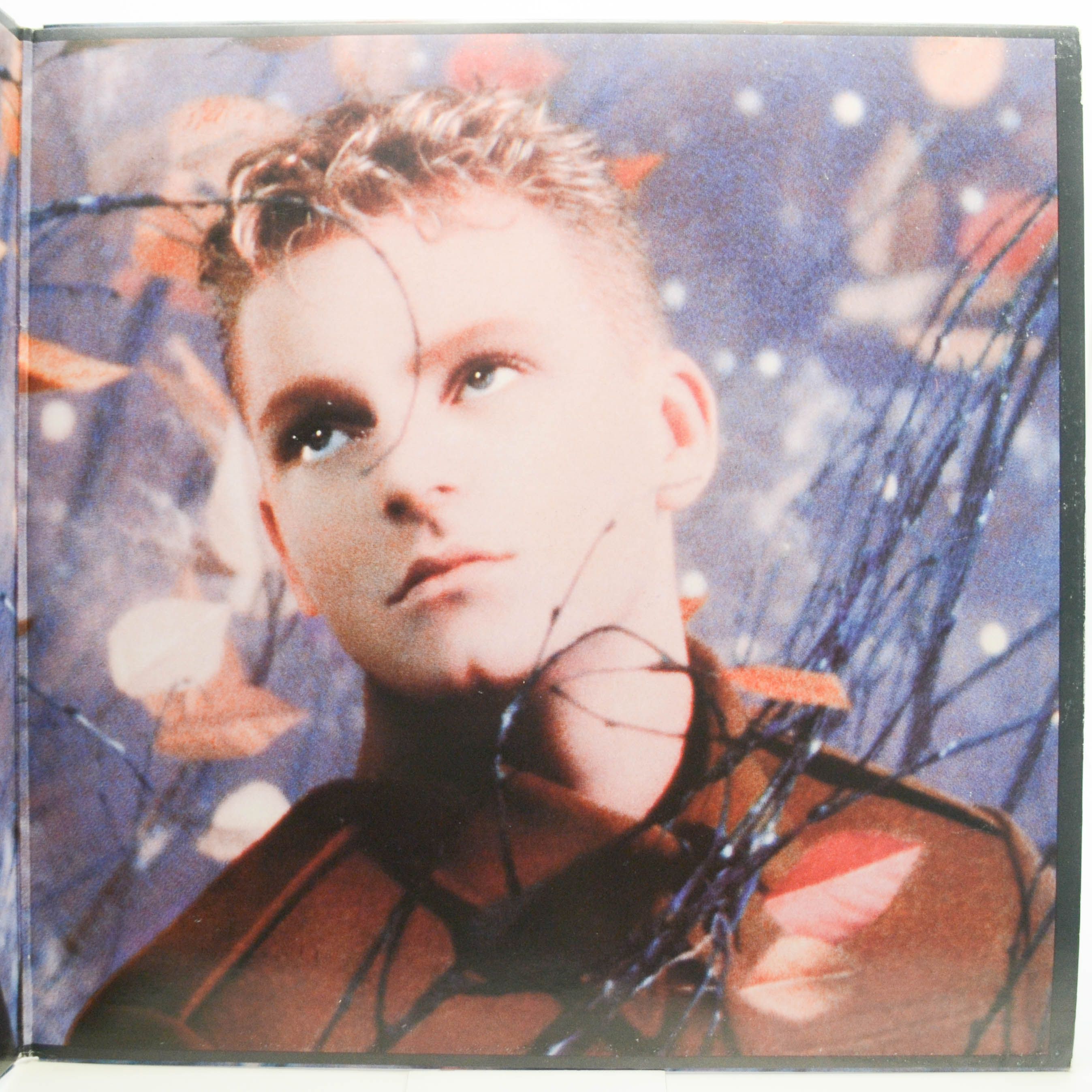 Erasure — Wild (1-st, UK), 1989