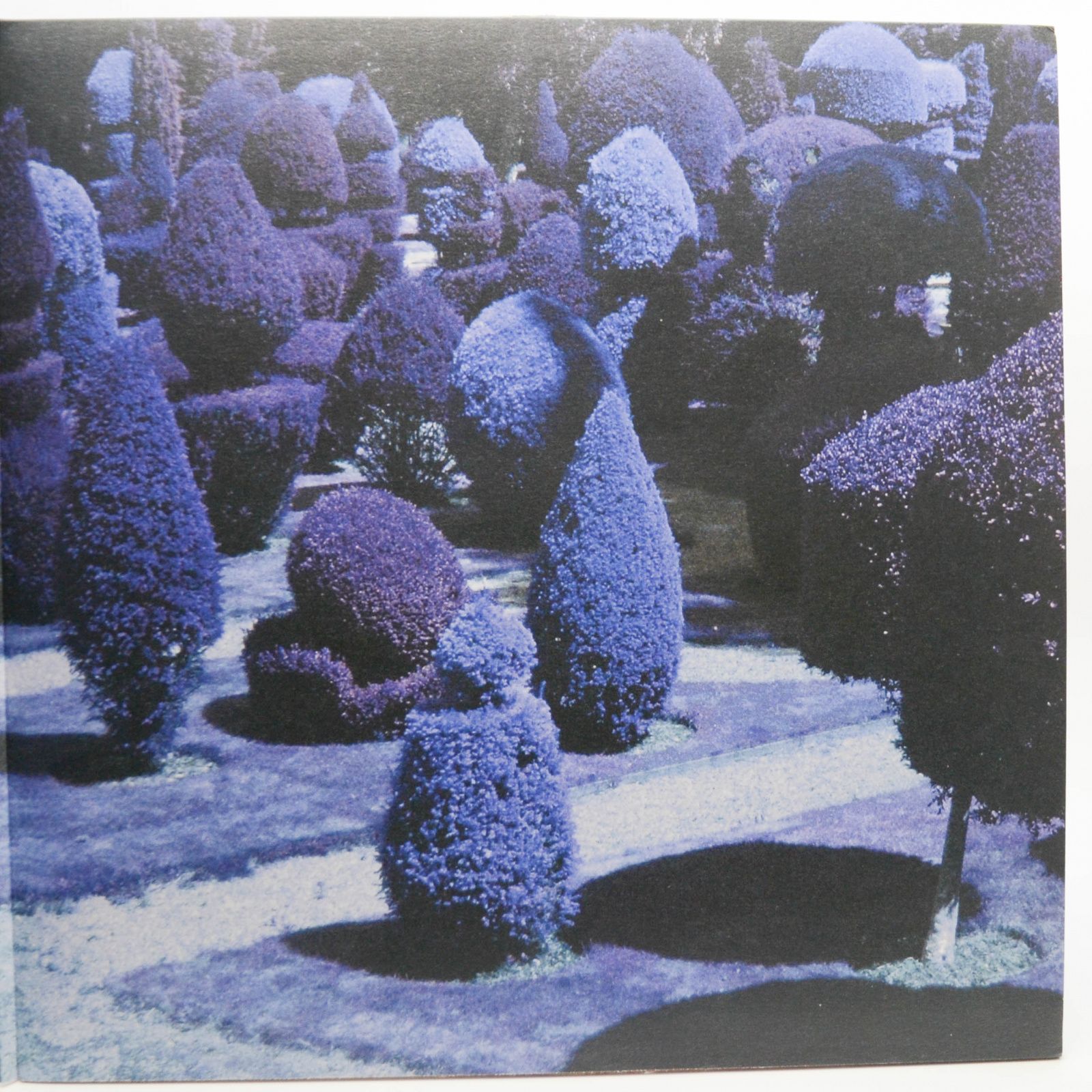 Виниловая пластинка George Harrison — Brainwashed, 2002