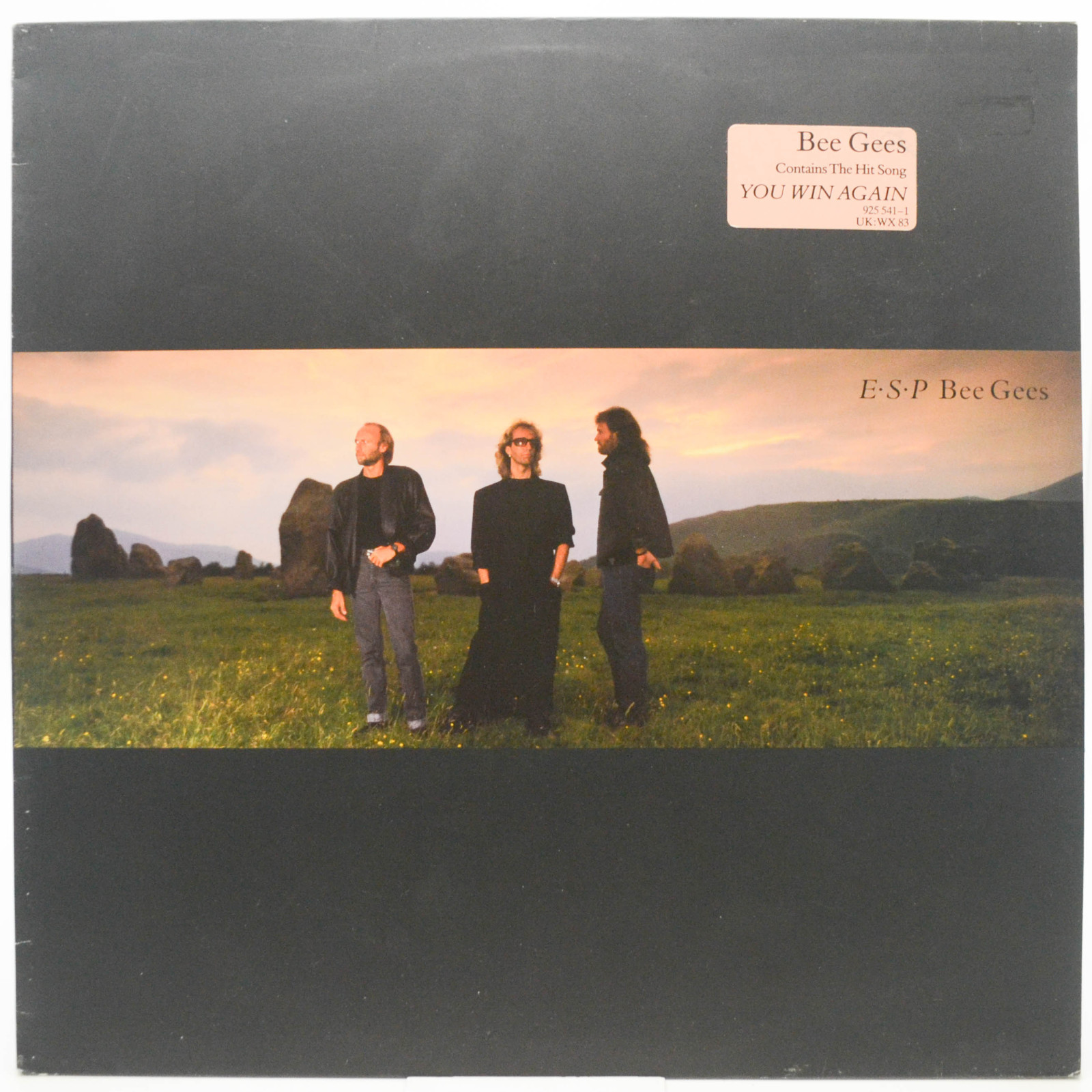 Bee Gees — E·S·P, 1987