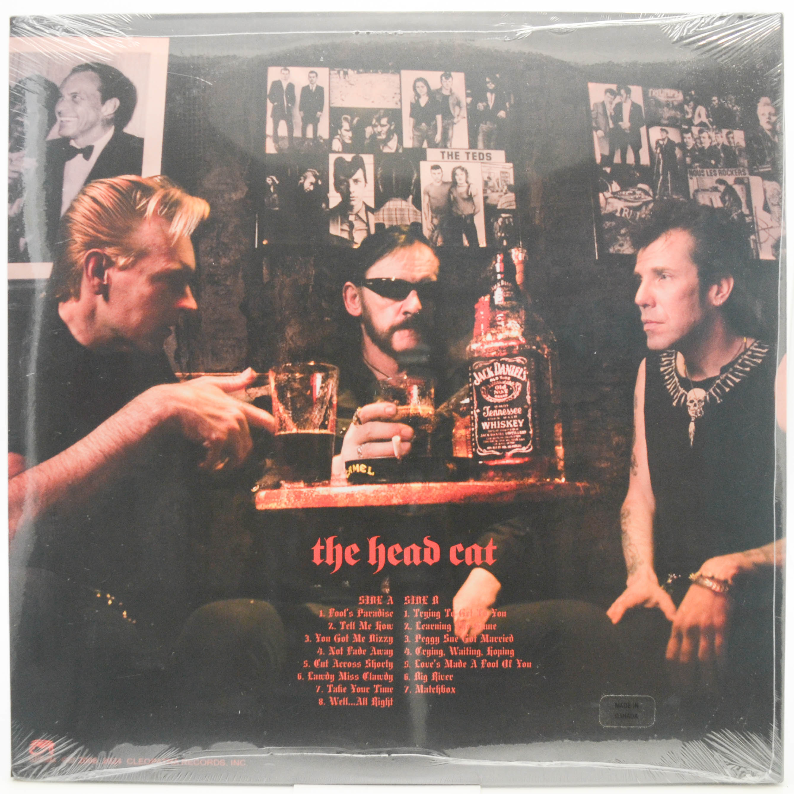 Виниловая пластинка Head Cat — Fool's Paradise (USA), 2008