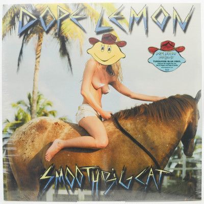 Виниловая пластинка smooth big cat, 2019