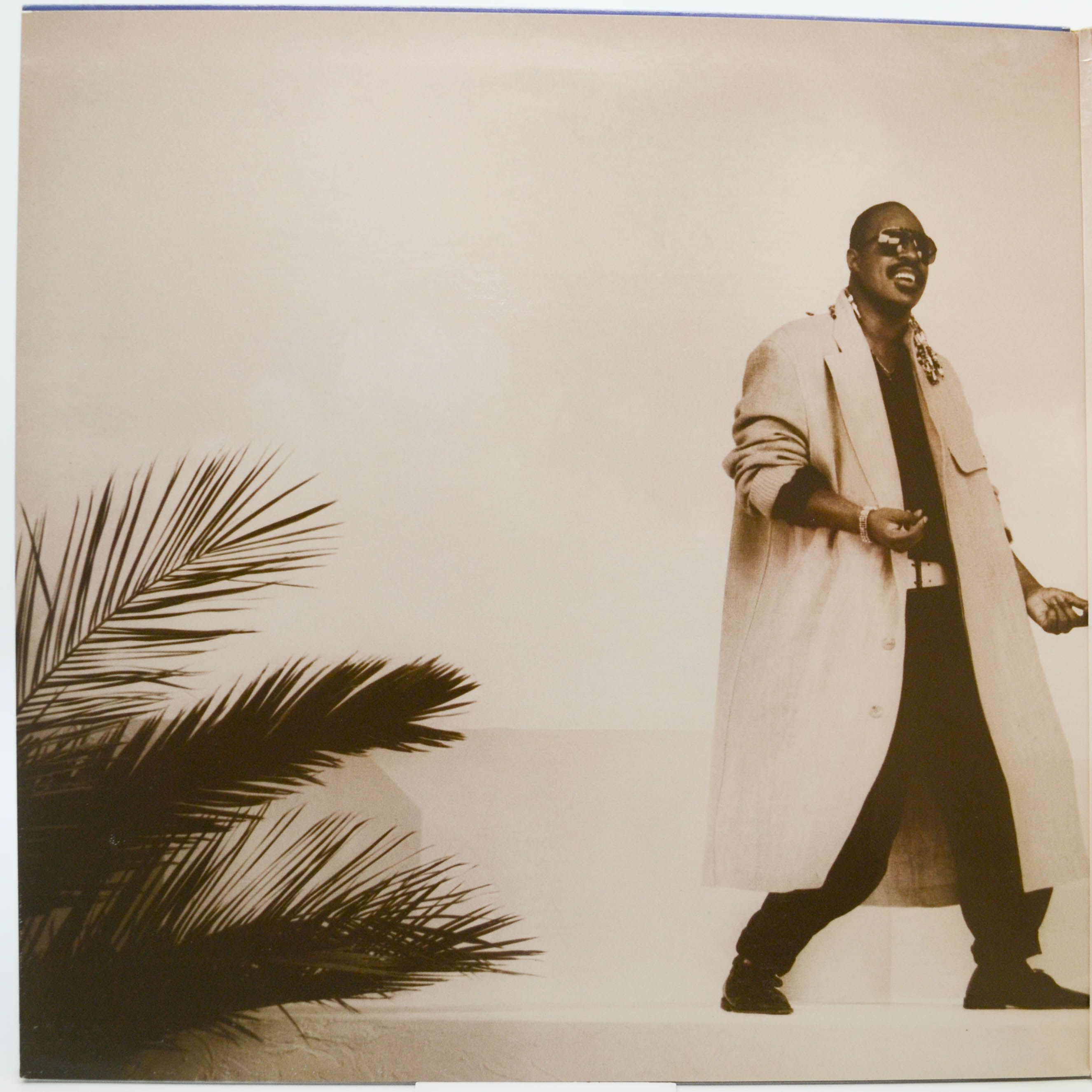 Виниловая пластинка Stevie Wonder — In Square Circle (booklet), 1985