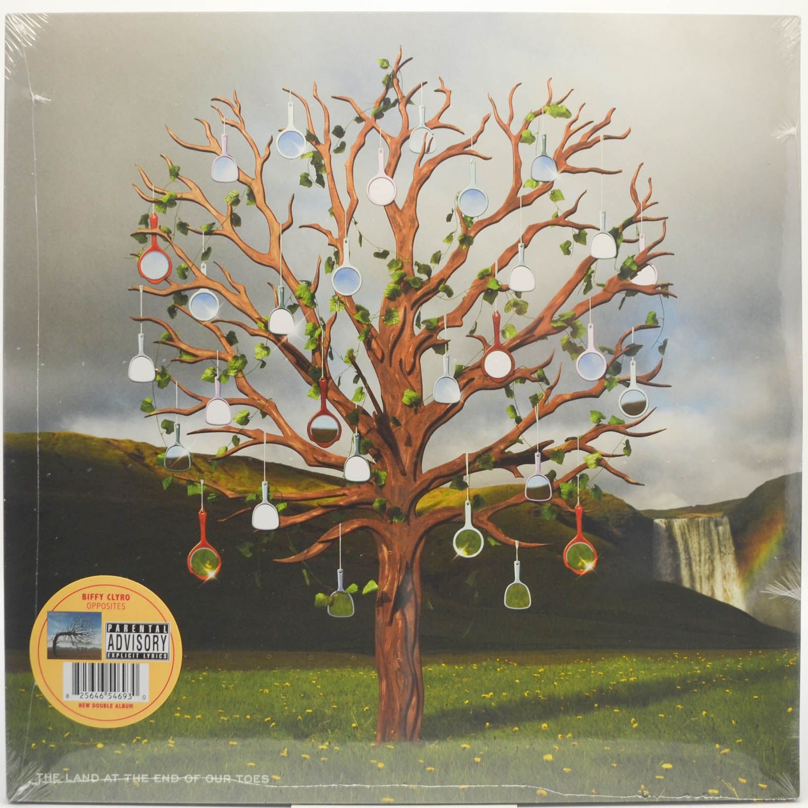 Виниловая пластинка Biffy Clyro — Opposites (2LP), 2013