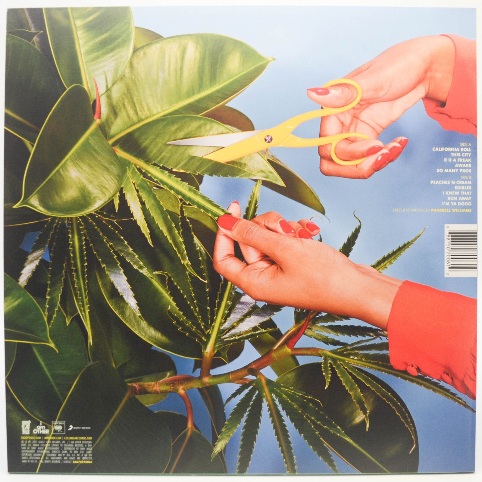 Snoop Dogg — Bush, 2015