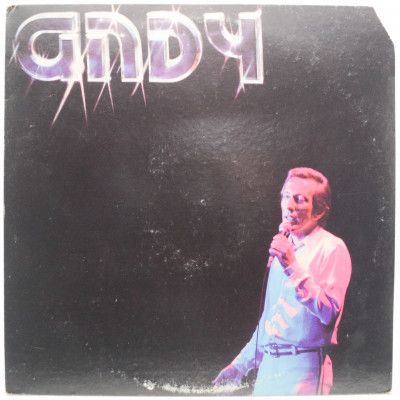 Виниловая пластинка Andy (USA), 1976