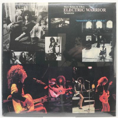 Виниловая пластинка Electric Warrior Sessions, 1996