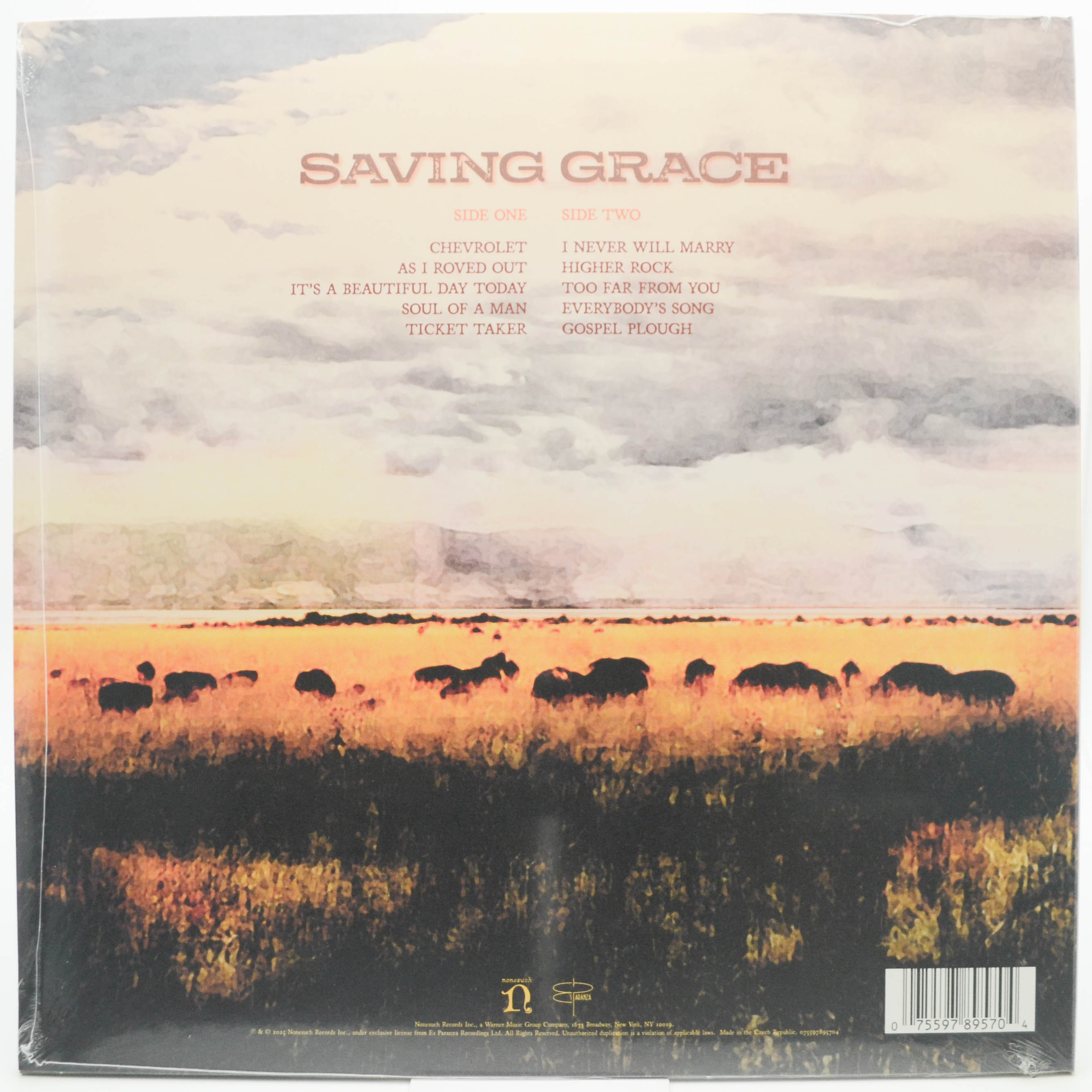 Виниловая пластинка Robert Plant With Suzi Dian — Saving Grace, 2025