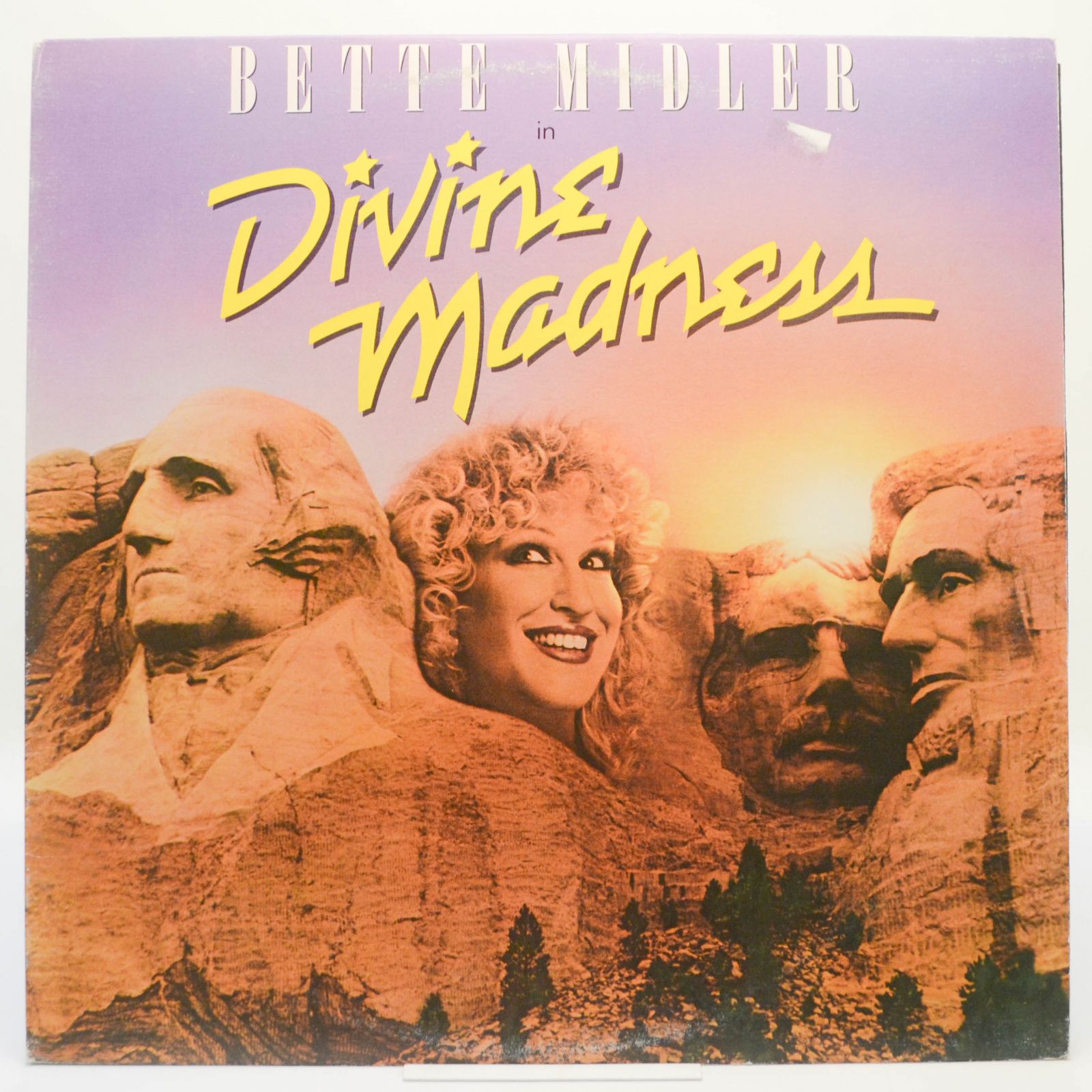 Виниловая пластинка Divine Madness, 1980