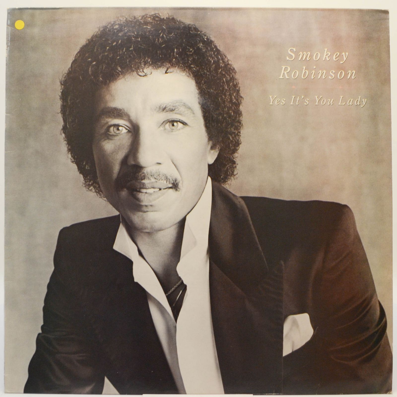 Виниловая пластинка Smokey Robinson — Yes It's You Lady, 1982