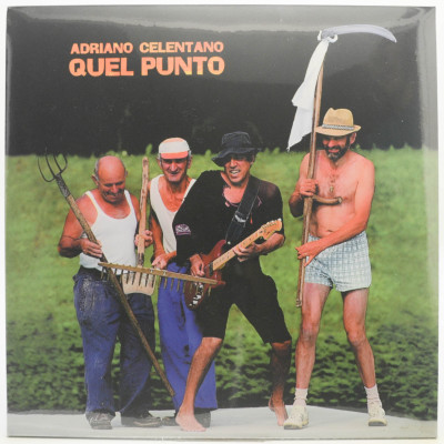 Виниловая пластинка Quel Punto, 1994